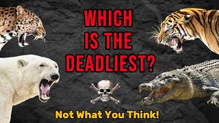 Ranking The Deadliest Man-Eating Animals On Earth: You’ll Be Suprised!