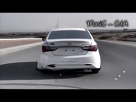 خليجي طرب ضروري انت اكثر من أي شي ثاني ما أحب غيرك مطلوبة أكثر شيء 2025