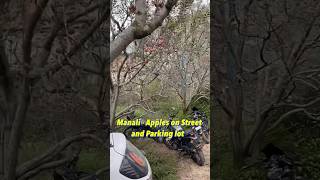 Manali Apples On Street And Parking Lot