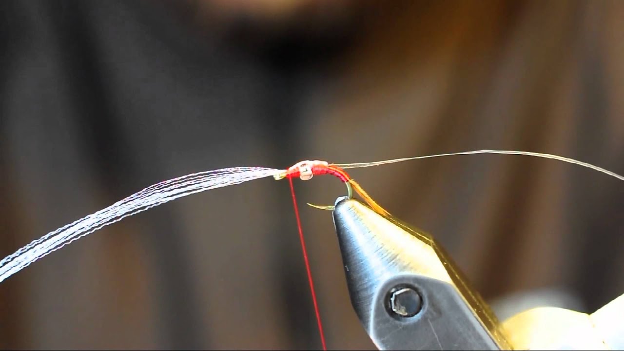 The Shot Glass Baetis YouTube