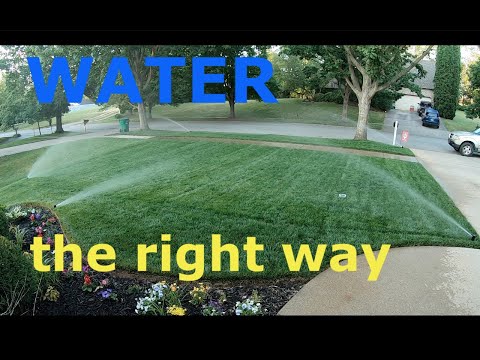 How To Water Your Lawn Efficiently