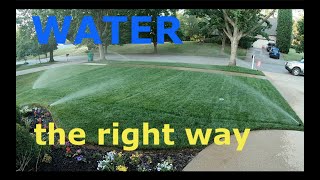 Properly WATER your lawn