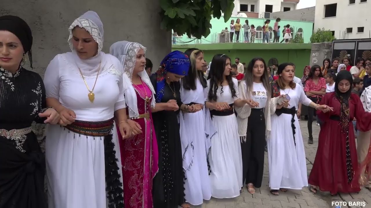 EMİN ACAR DÜĞÜNÜ CİZRE CUDİ MAHALESİ FOTO BARIŞ CİZRE