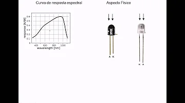 Qual a importância da umidade de equilíbrio para secagem da madeira?