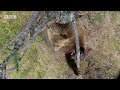 Beginning of video