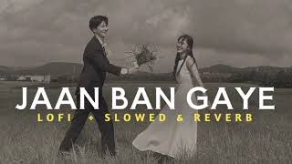 Jaan Ban Gaye (perfectly slowed) 🍁 || musiclofi950 