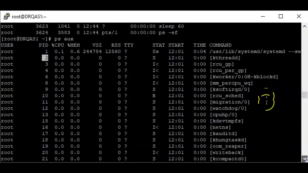 Understanding What Process is & Its Attributes In Linux (RHCSA 8 ...