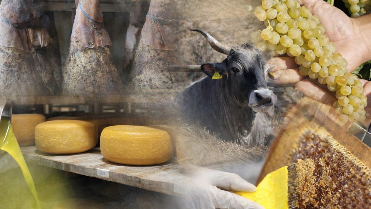 BOJE ZEMLJE EU oznaka izvornosti: jamstvo kvalitete za šest istarskih proizvoda