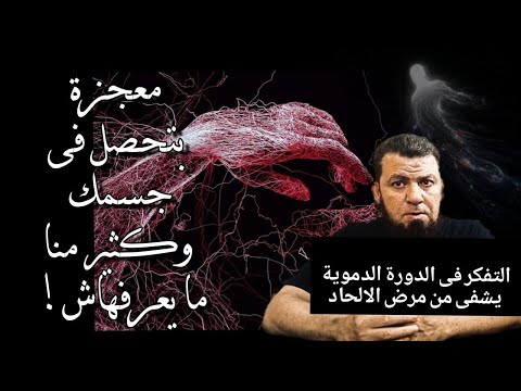معجزة بتحصل في جسمك وكثير منا ما يعرفهاش التفكر فى الدورة الدموية يشفى من مرض الالحاد