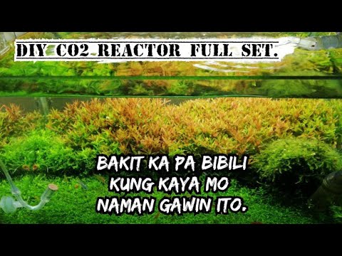 Video: Paano ka gumawa ng co2 sa bahay?