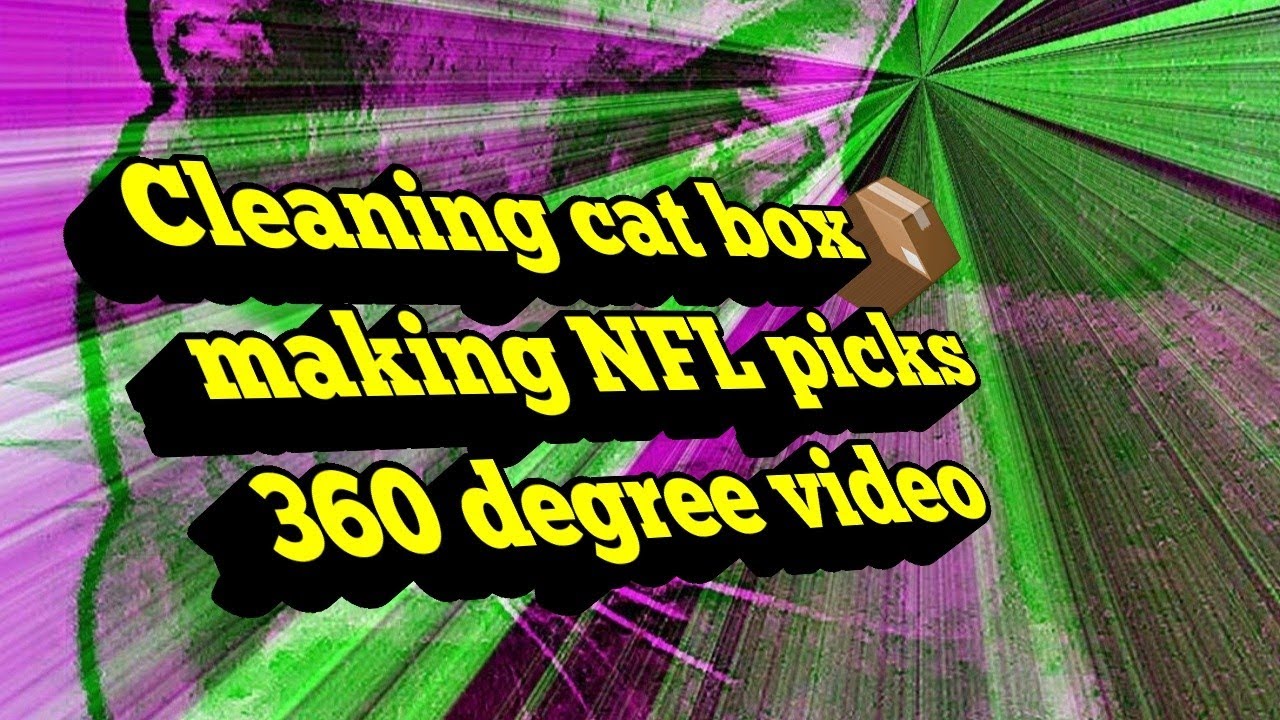 Cleaning cat box l make NFL picks l 360 l go 2 store l Powerdirector