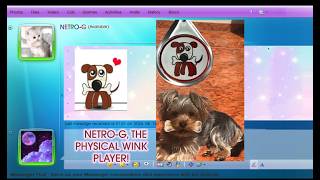 HOW I BROUGHT MSN MESSENGER WINKS BACK TO LIFE! 🧸📱 (The Netro-G Project)