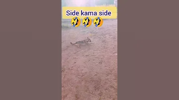 Side Kama Side RS BERKANE VS SIMBA SC Shots Funny Simba Rsberkane 