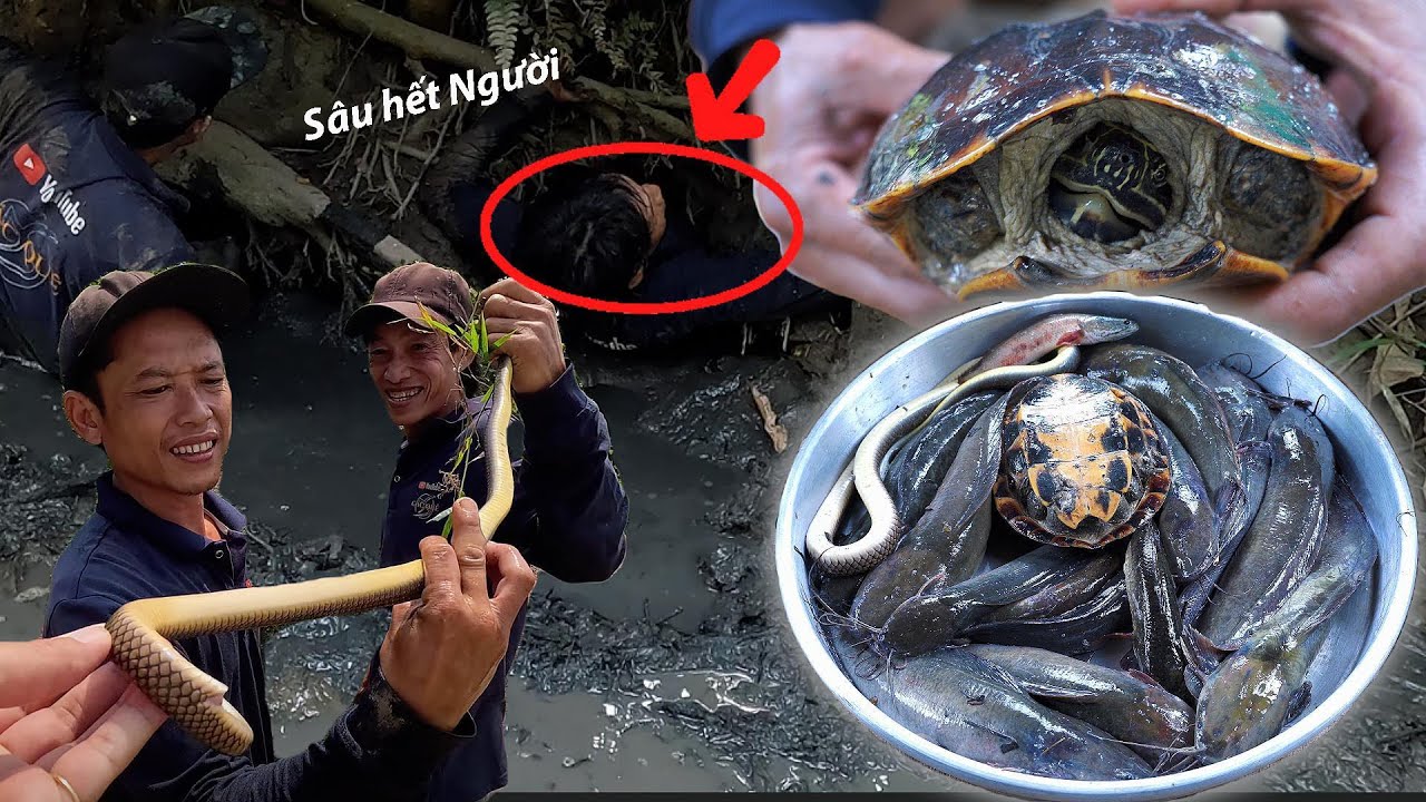 Quá nhiều Cá nằm trong Hang 