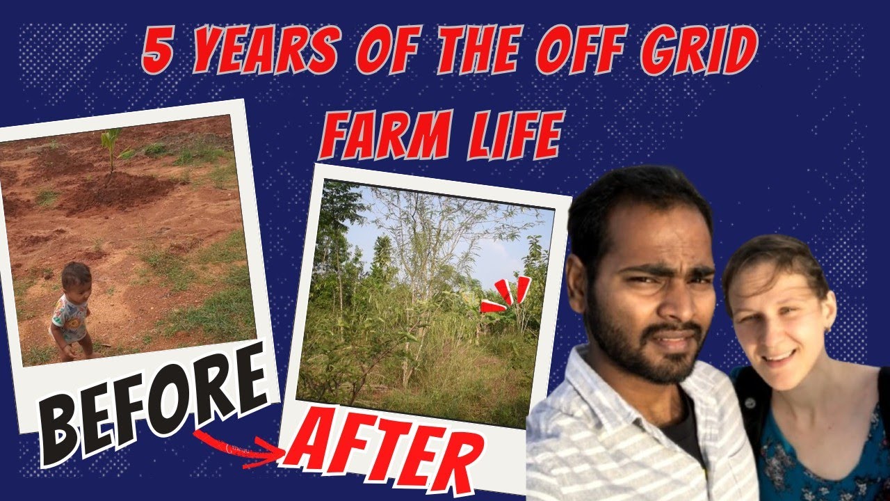 The reality of off-grid living: 5-year organic farm life in Tamil Nadu | part 1