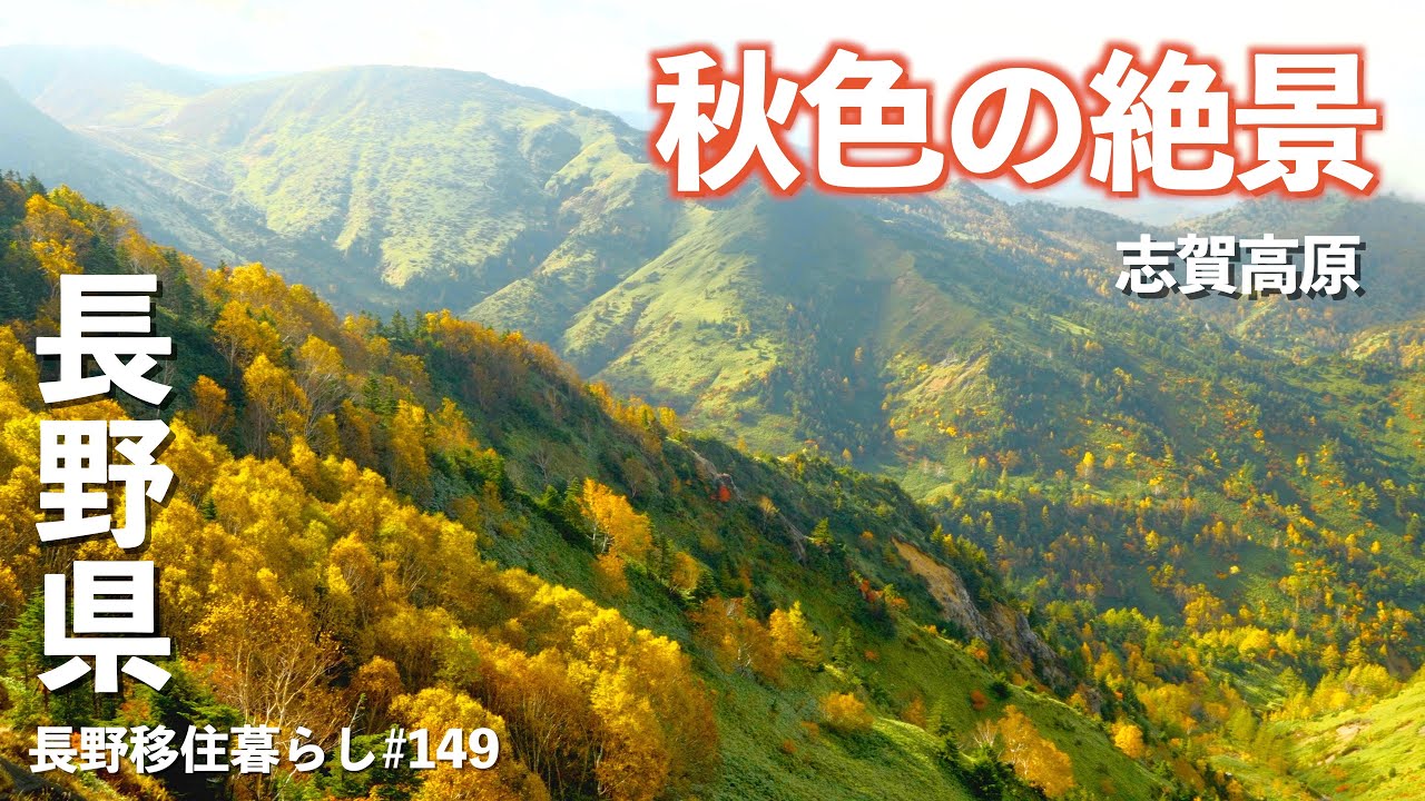 Beautiful Japan in Autumn - Shigakogen's enchanting foliage. - YouTube