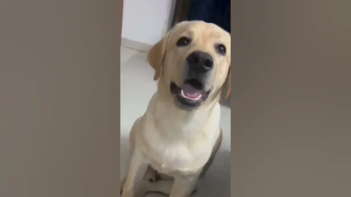TIT FOR TAT 🤪 #youtubeshorts  #shortsfeed #viral #shorts #memes #trending - DayDayNews