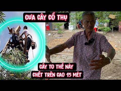 Video ???? Part 3 - Sốc sinh nghề t..ử ngh.iệp ở Cà Mau ( Hành... - youtube