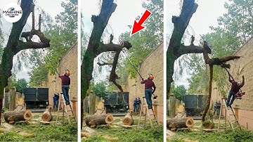 Idiots With Chainsaws: Tree Cutting Fails | Extreme Dangerous Logging Truck Fails #21