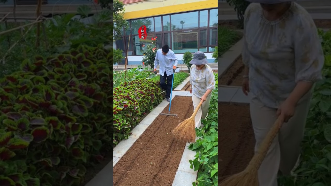 Bone meal, preserve flowers and promote fruit, you can try it too