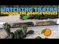4K Drone view flying with a Union Pacfic Train through the Orange Groves!