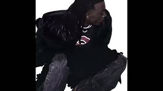 Playboi Carti   Era Leaks  32726