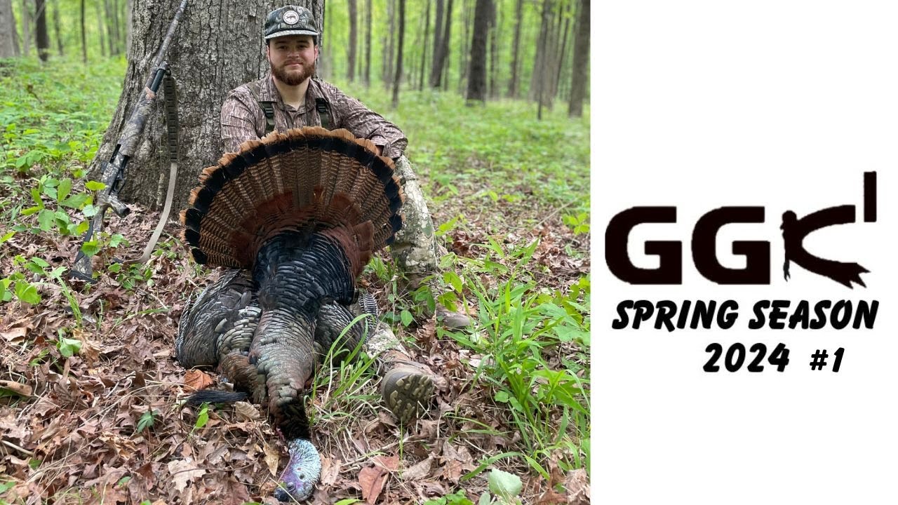 Spring Turkey Hunting Late Season High Pressured Turkeys