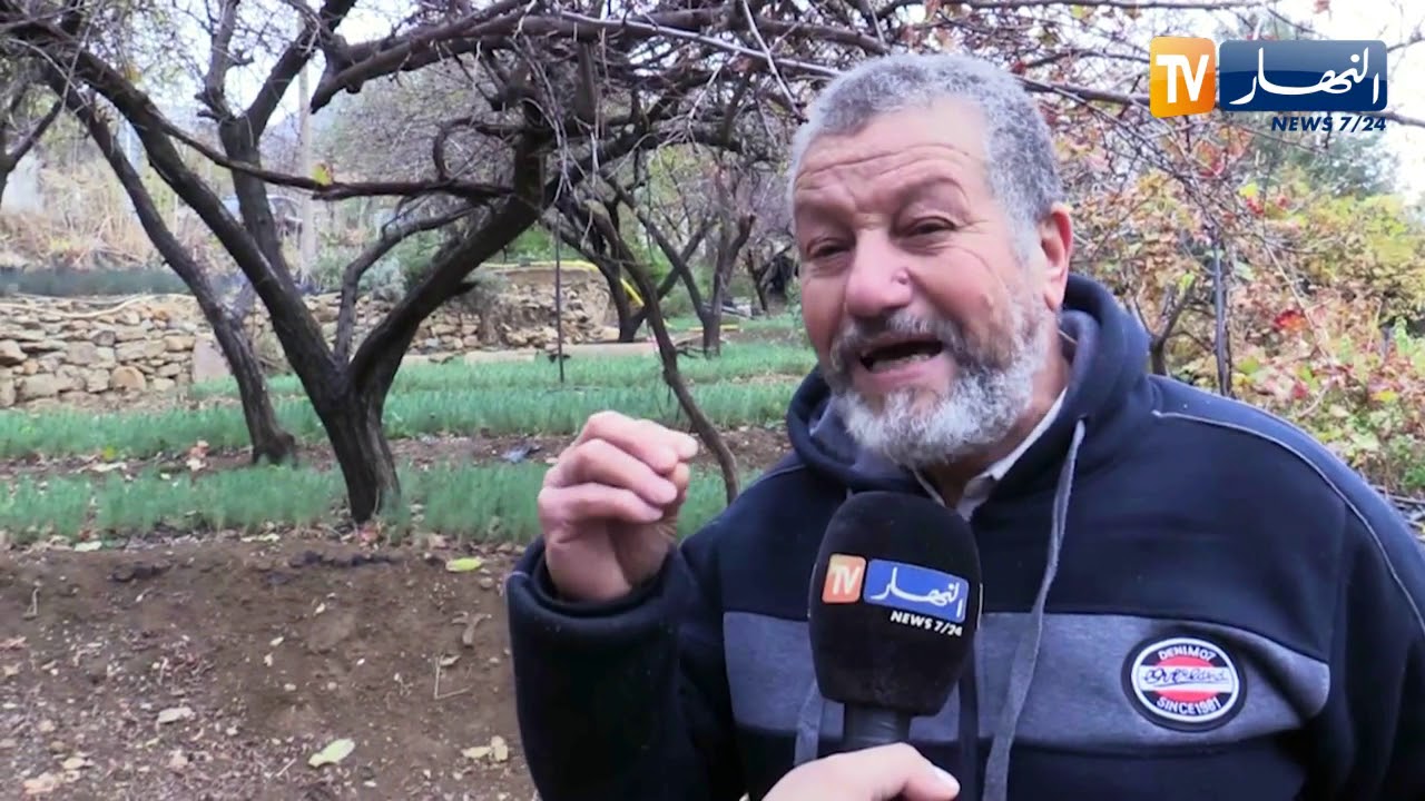 تيسمسيلت: مشتلة تازا .. رئة تغذي الزراعة المحلية