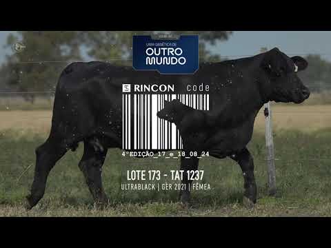 LOTE 173   TAT 1237 Ultrablack