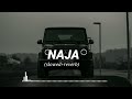 na ja ( slowed + reverb ) ||  slowed reverb by RV || use headphone 🎧