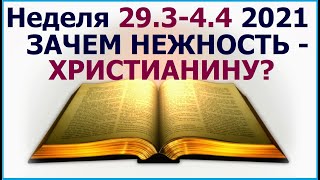 Неделя 29 марта - 4 апреля 2021 г.: о нежных чувствах в духовной семье соверующих