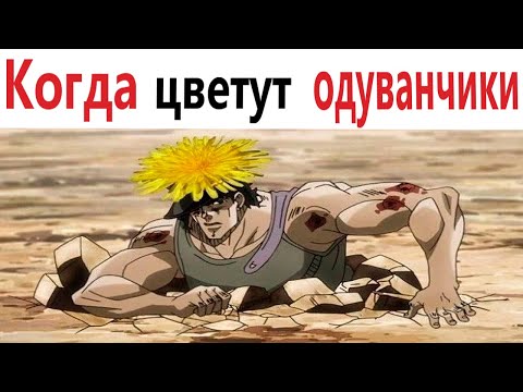 ПРИКОЛЫ! КОГДА ЦВЕТУТ ОДУВАНЧИКИ - МЕМЫ!!! Смешные видео – Доми шоу!