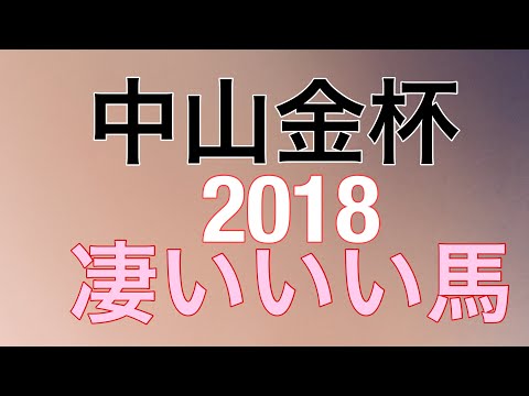中山金杯 2018 的を得る