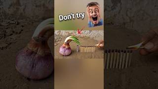 Onion Bijali Crackers experiment 😜 Diwali cracker testing 2025 #shorts