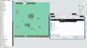 POKEMON HACK TUT - Using Flags