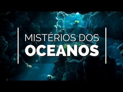 Vídeo: Mundo orgânico do Oceano Ártico (brevemente)