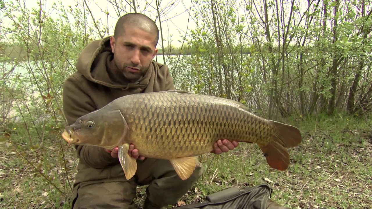 korda thinking tackle season 8