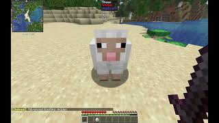 Attribute swapping in minecraft 1.21.10!