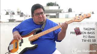 TAGIMA TW-65 PRECISION WOODSTOCK SERIES (AUDIO BASS COVER)