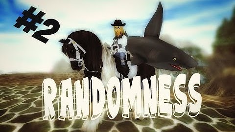 ☻ SSO ~ Randomness #2 ☻