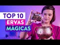 TOP 10: Minhas Ervas Mágicas Favoritas