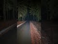 Skilhunt H200 vs H300 #sofwul #flashlight #svítilny #skilhunt