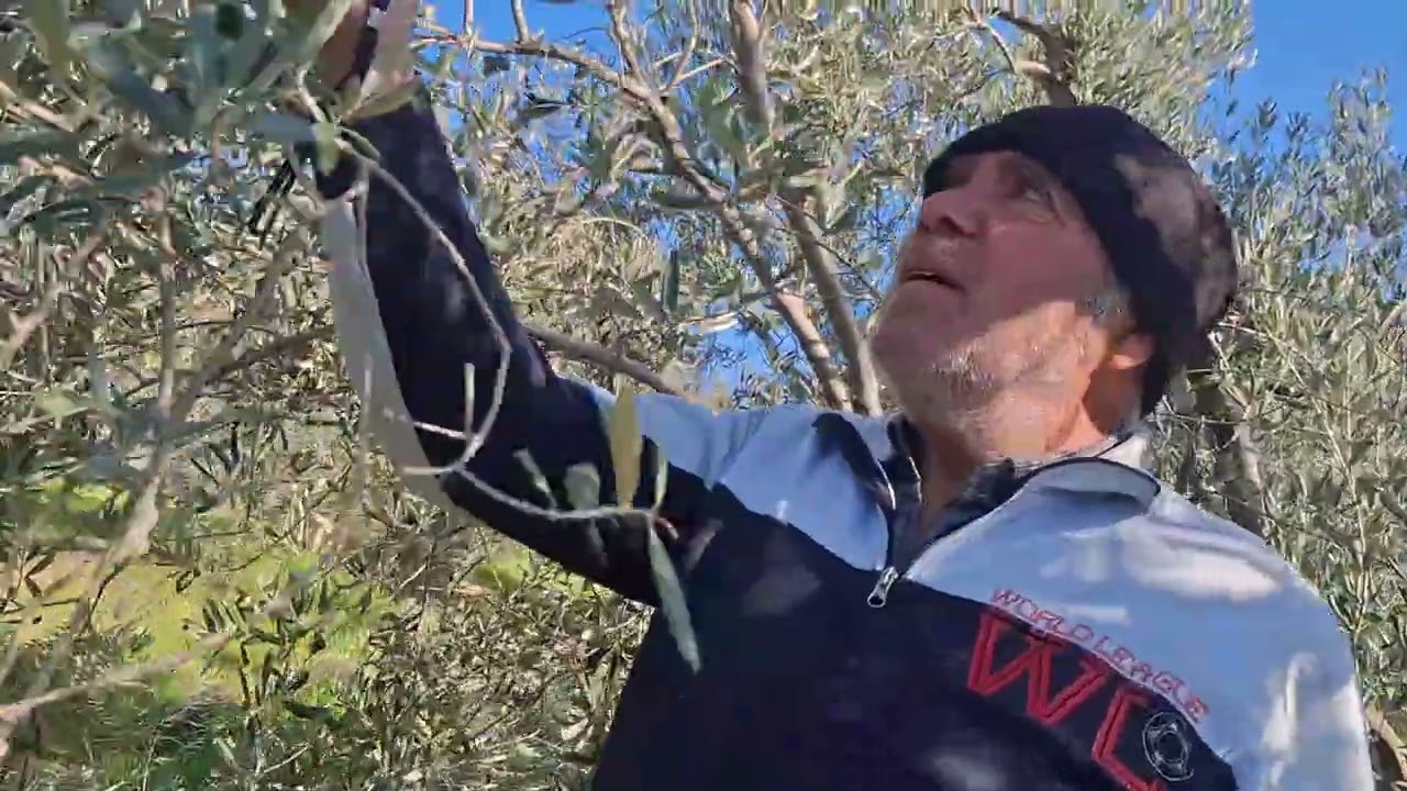 2026/2/28/ imarda son nokta.