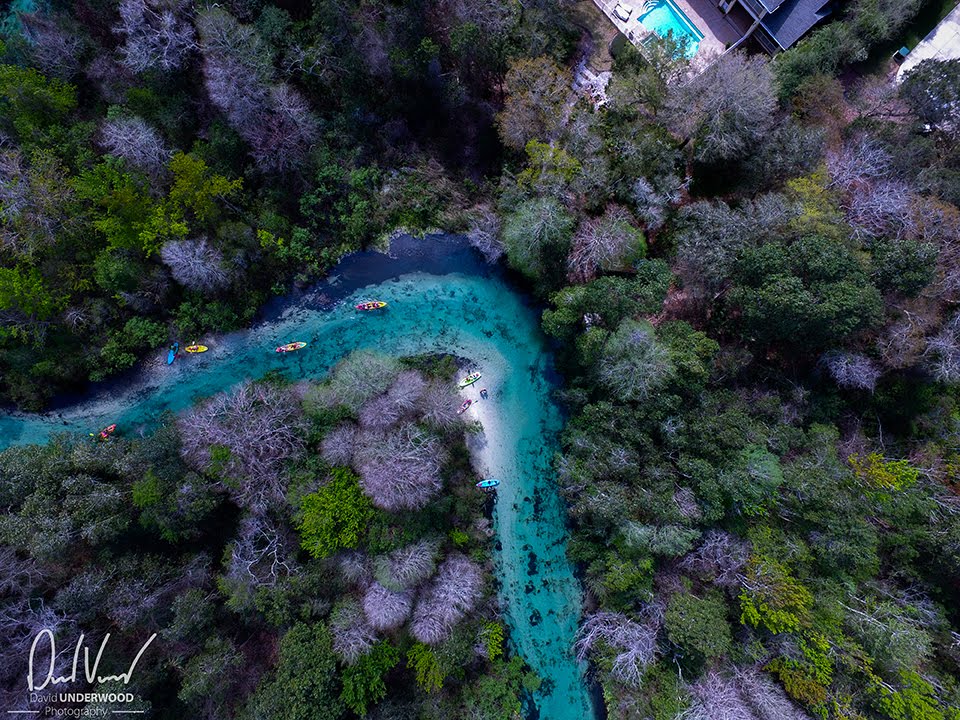 weeki wachee river - youtube