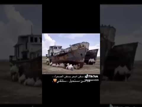 سبحان الله قعده تحت السفنن انه سفن صحراء  سبحان الله قعده تحت السفنن انه سفن صحراء