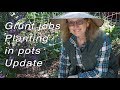 Thursday Workday | Planting, Update, Grunt Jobs | Vlog