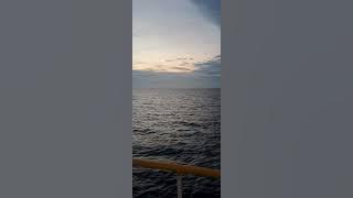 Adzan Magrib - Daily adzan in Offshore#masjid#adzanmerdu @AdzanTilawah #ammartv#masjidsheikhzayed