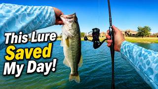Bass Fishing INSANE August Heat at Ponds in Fort Worth, Texas! (This Lure Changed Everything!)
