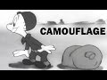 Camouflage Techniques Quiz