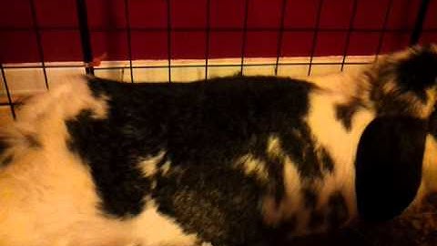 January 17, 2012 9:10 PM